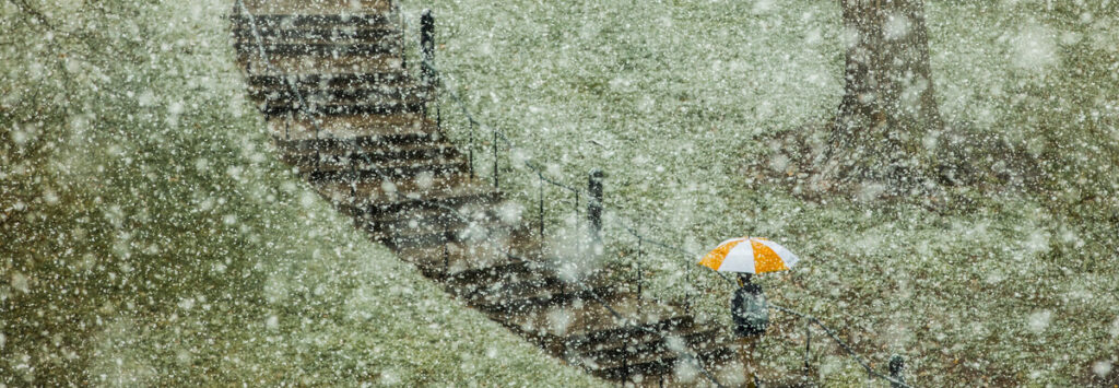 Snow falls on the Hill with as someone walks up the stairs with an umbrella on February 20, 2020. Photo by Steven Bridges/University of Tennessee